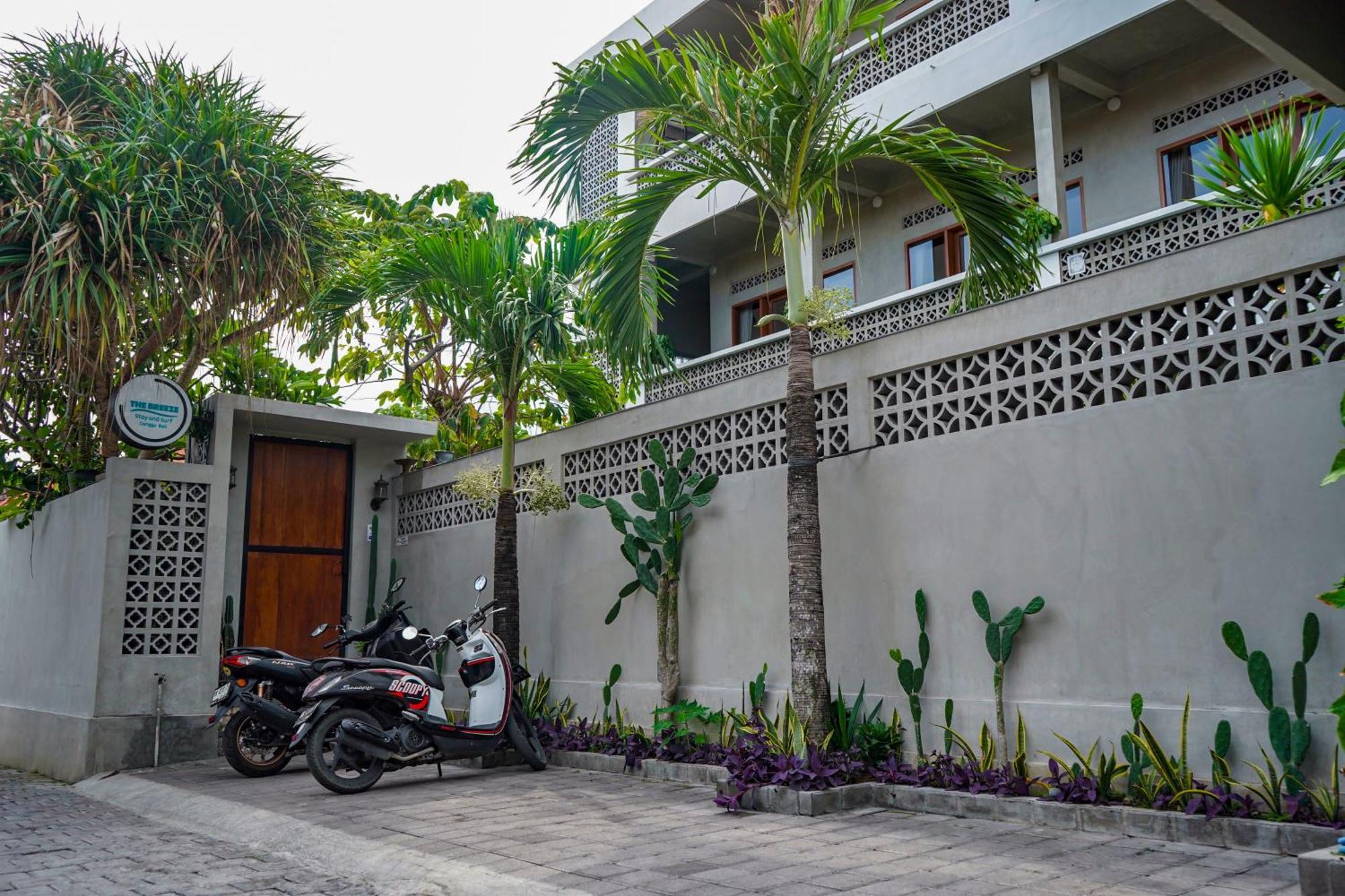 The Breeze Stay And Surf Canggu Eksteriør billede