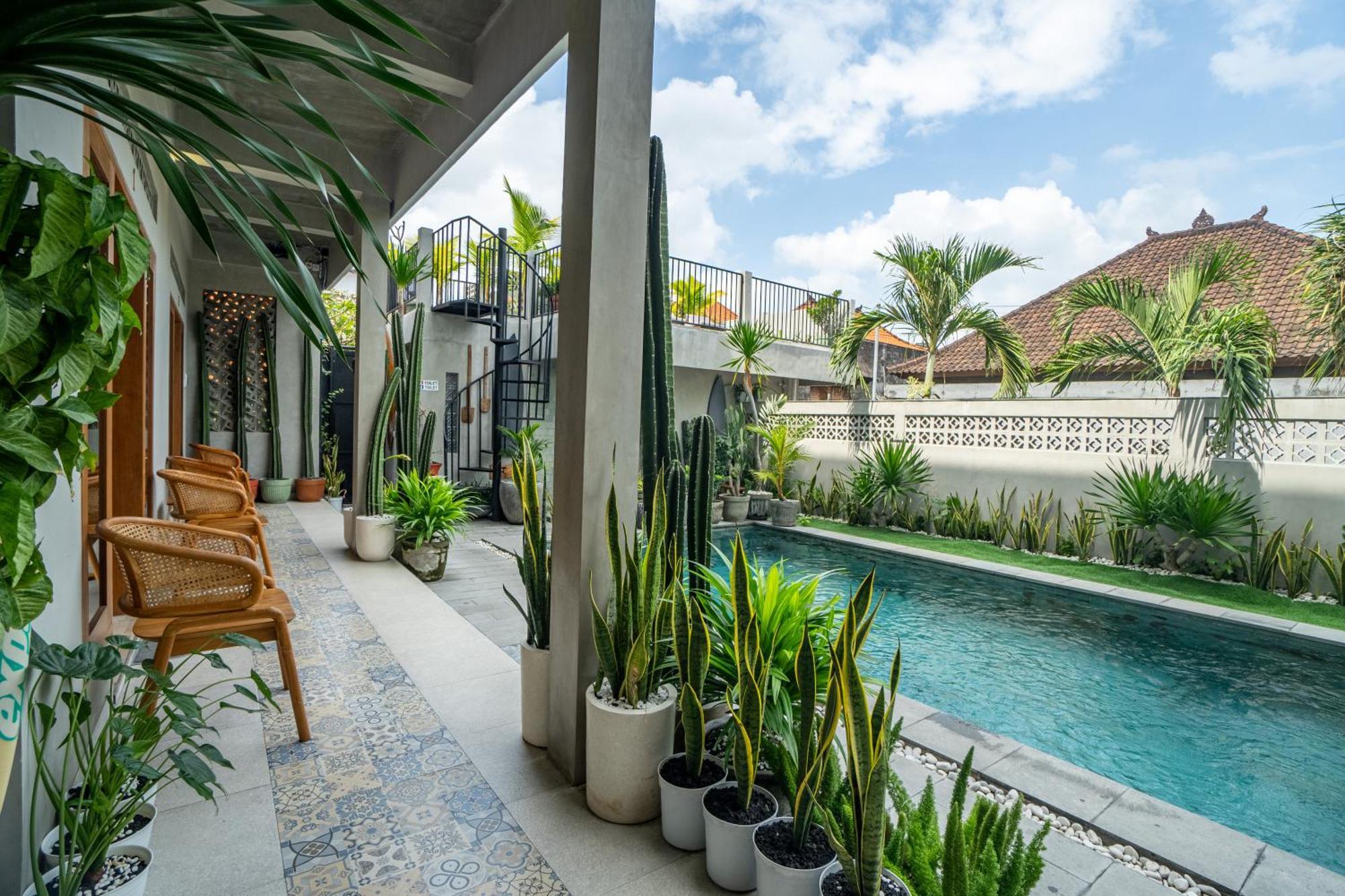 The Breeze Stay And Surf Canggu Eksteriør billede